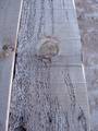 Coverboard Barnwood